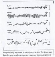 Hersengolven en frequenties